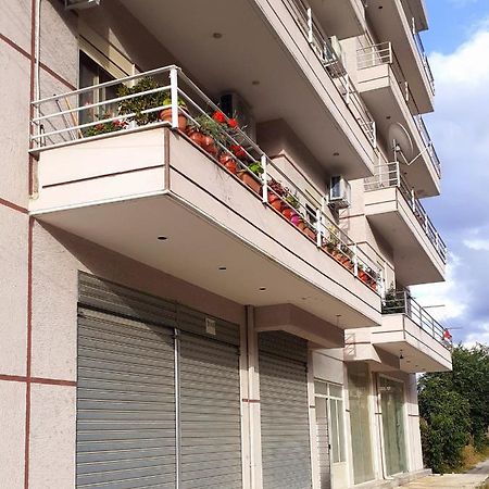 Drini Apartments Përmet Eksteriør billede